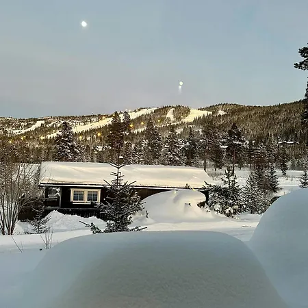 Modern Mountain Near Nesfjellet Golf Course * Nesbyen